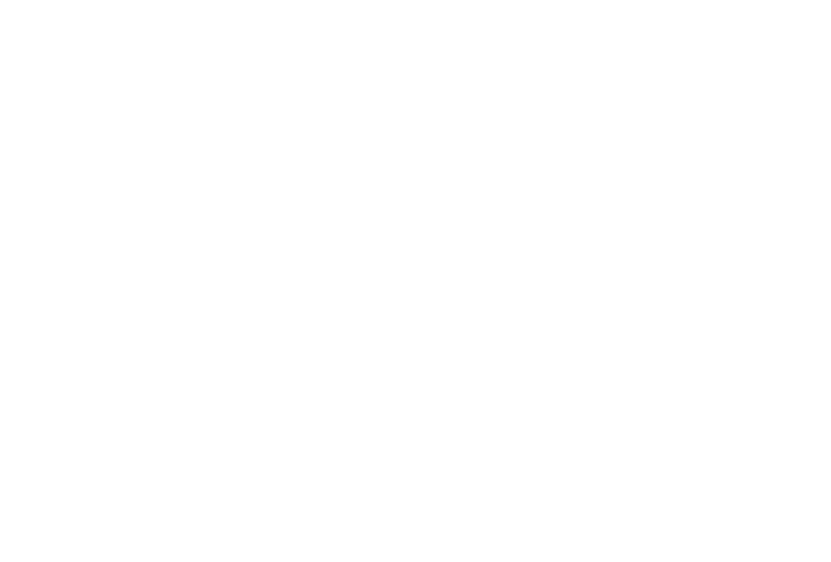 SofiClean